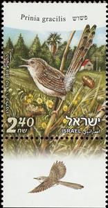 Stamp with Collectible Margin, Graceful Prinia (Prinia gracilis), Israel,  , Animals (Fauna), Birds