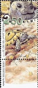 Stamp with Collectible Margin, Greek Tortoise (Testudo hermanni), Israel,  , Animals (Fauna), Reptiles, Turtles