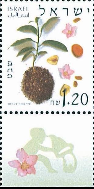 Shevat