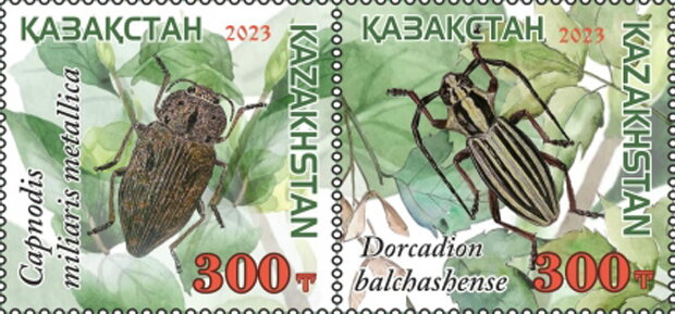 Red Book Of Kazakhstan : Insects