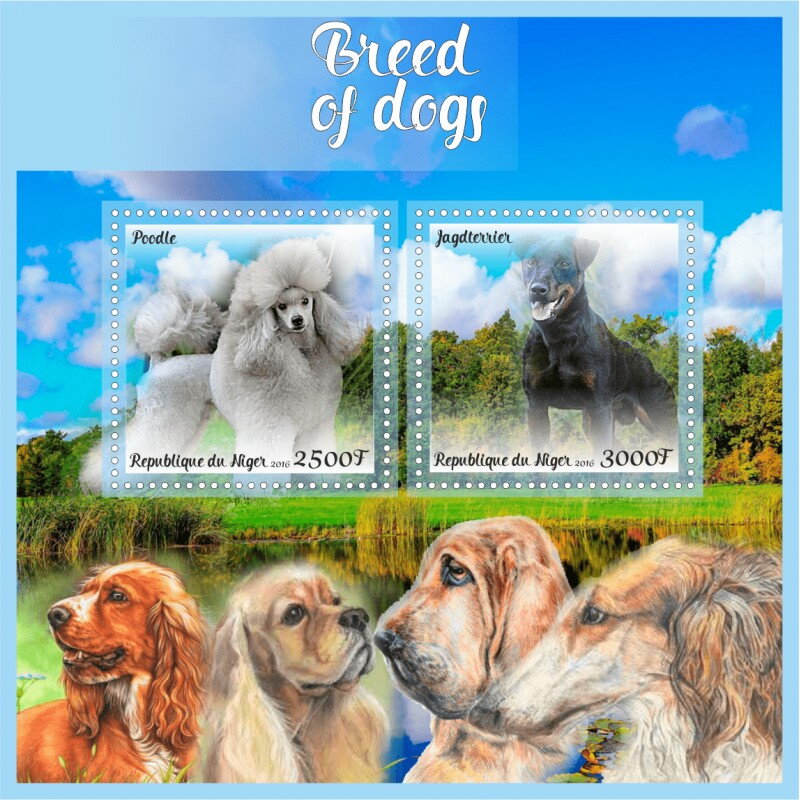 Dogs Breed of Dogs