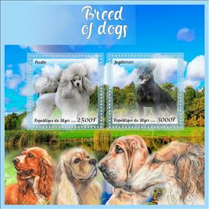 Mini Sheet, Dogs Breed of Dogs, Niger,  , Animals (Fauna), Dogs
