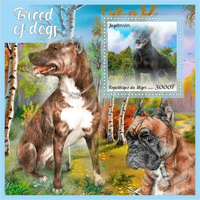 Dogs Breed of Dogs (Jagdterrier)