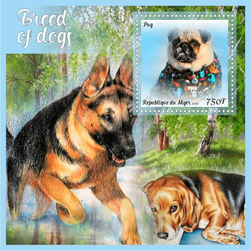 Dogs Breed of Dogs (Pug)
