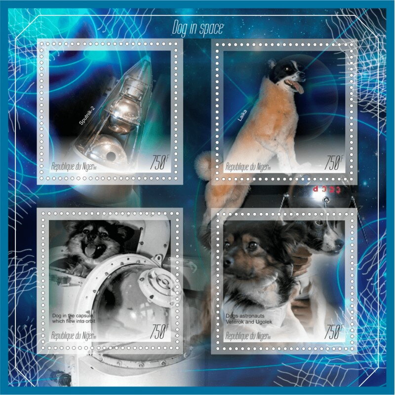 Dogs in Space