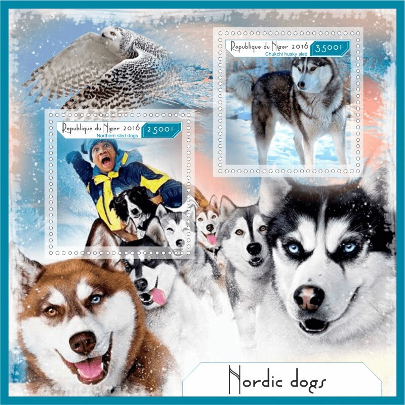 Dogs Nordic Dogs