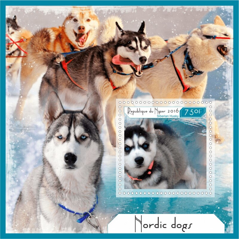 Dogs Nordic Dogs (Siberian Husky)