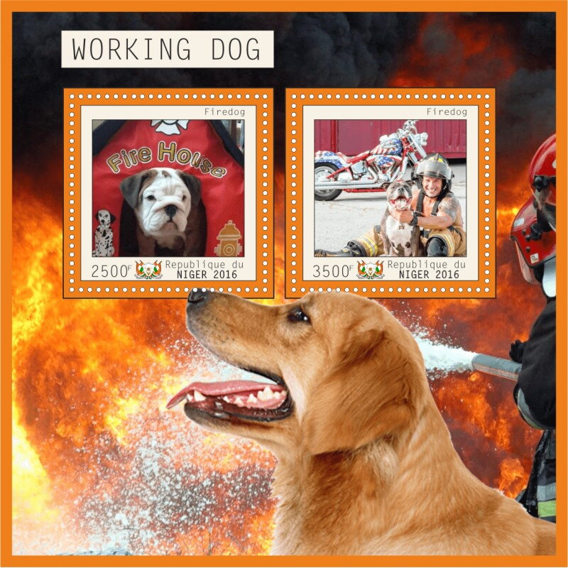 Dogs Working Firedogs