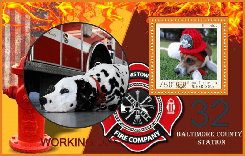 Dogs Working Firedogs