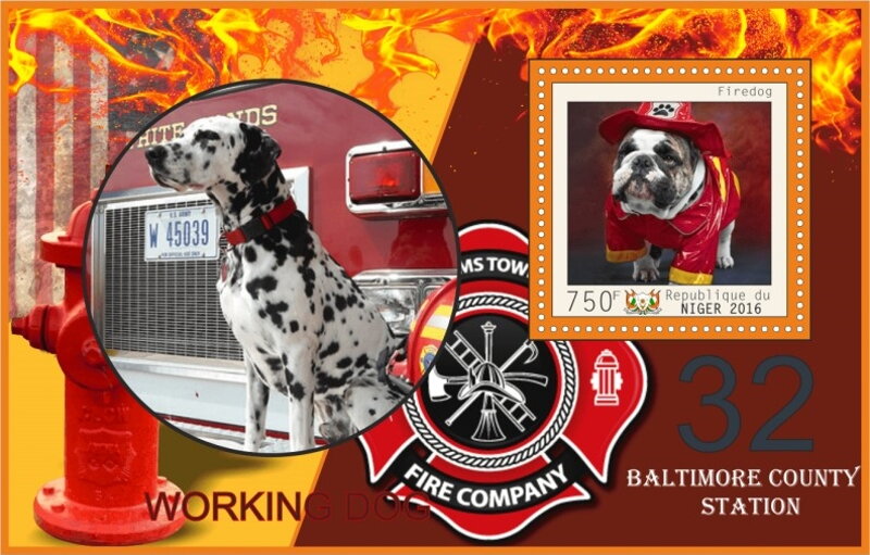 Dogs Working Firedogs