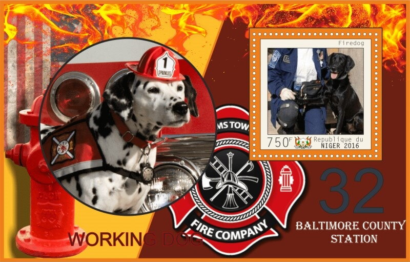 Dogs Working Firedogs