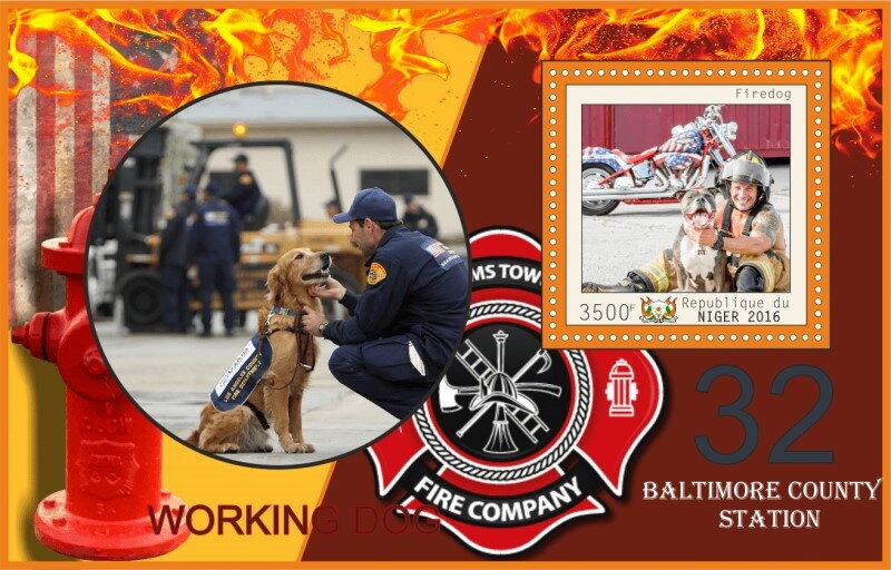 Dogs Working Firedogs