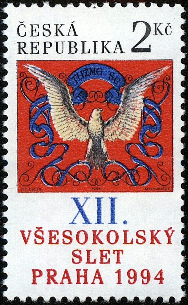 XII th Pan-Sokol Rally