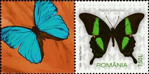 Stamp with Attached Label, Emerald Swallowtail (Papilio palinurus), Romania,  , Animals (Fauna), Butterflies, Insects
