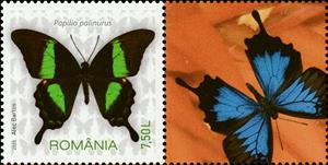 Stamp with Attached Label, Emerald Swallowtail (Papilio palinurus), Romania,  , Animals (Fauna), Butterflies, Insects