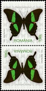 Tete-Beche, Emerald Swallowtail (Papilio palinurus), Romania,  , Animals (Fauna), Butterflies, Insects