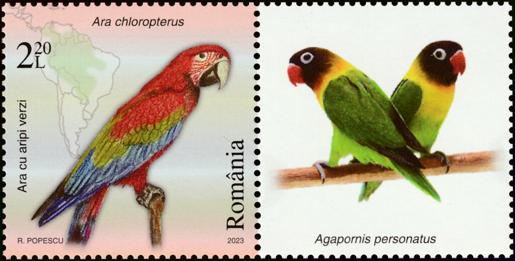 Green-Winged Macaw (Ara chloropterus)