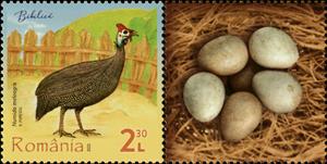 Stamp with Attached Label, Helmeted Guineafowl (Numida meleagris), Romania,  , Animals (Fauna), Birds, Eggs, Poultry
