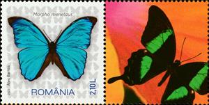 Stamp with Attached Label, Menelaus Blue Morpho (Morpho menelaus), Romania,  , Animals (Fauna), Butterflies, Insects
