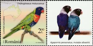 Stamp with Attached Label, Multicolored Lorikeet (Trichoglossus moluccanus), Romania,  , Animals (Fauna), Birds, Maps, Parrots