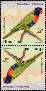 Tete-Beche, Multicolored Lorikeet (Trichoglossus moluccanus), Romania,  , Animals (Fauna), Birds, Maps, Parrots