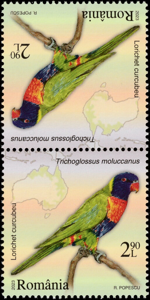 Multicolored Lorikeet (Trichoglossus moluccanus)
