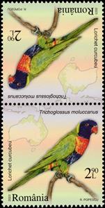 Tete-Beche, Multicolored Lorikeet (Trichoglossus moluccanus), Romania,  , Animals (Fauna), Birds, Maps, Parrots