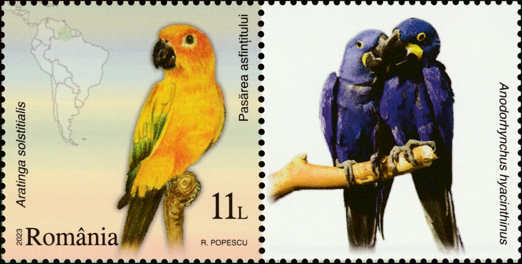 Sunset Bird (Aratinga solstitialis)