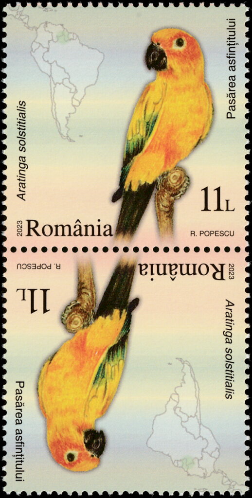 Sunset Bird (Aratinga solstitialis)