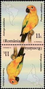 Tete-Beche, Sunset Bird (Aratinga solstitialis), Romania,  , Animals (Fauna), Birds, Maps, Parrots