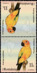 Tete-Beche, Sunset Bird (Aratinga solstitialis), Romania,  , Animals (Fauna), Birds, Maps, Parrots