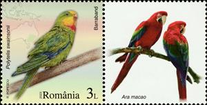Stamp with Attached Label, Superb Parrot (Polytelis swainsonii), Romania,  , Animals (Fauna), Birds, Maps, Parrots