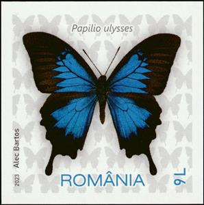 Stamp, Ulysses Butterfly (Papilio ulysses), Romania,  , Animals (Fauna), Butterflies, Insects