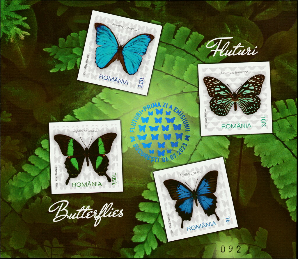 Ulysses Butterfly (Papilio ulysses)