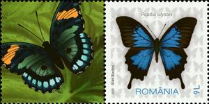 Stamp with Attached Label, Ulysses Butterfly (Papilio ulysses), Romania,  , Animals (Fauna), Butterflies, Insects