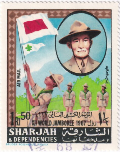 Scout at flag parade
