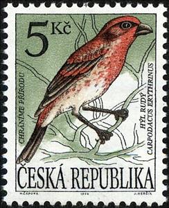 Stamp, Common Rosefinch (Carpodacus erythrinus), Czech Republic,  , Birds, Animals (Fauna)