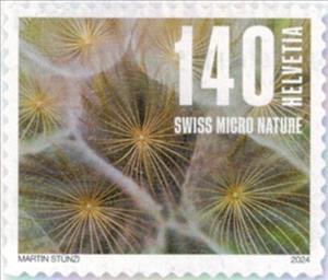 Stamp, Seedhead: Goat's Beard, Switzerland,  , Photography, Plants (Flora)