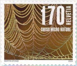 Stamp, Spiderweb, Switzerland,  , Photography, Spiders