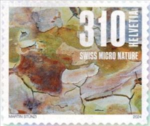 Stamp, Tree Bark: Plane Tree, Switzerland,  , Photography, Trees