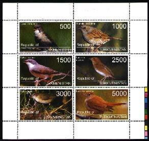 Birds