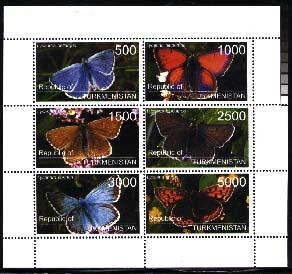 Butterflies