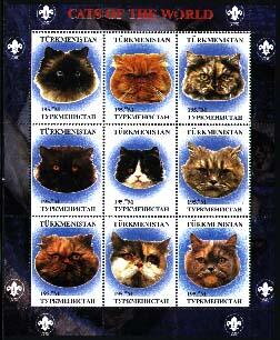 Cats