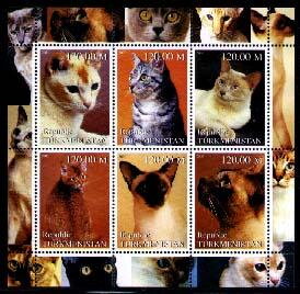 Cats