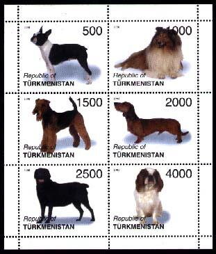 Dogs