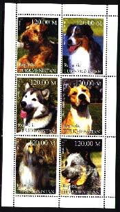Dogs