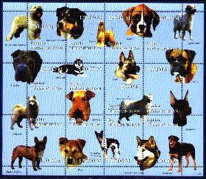 Dogs