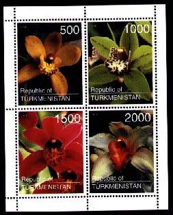 Orchids