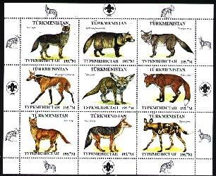 Wild Cats