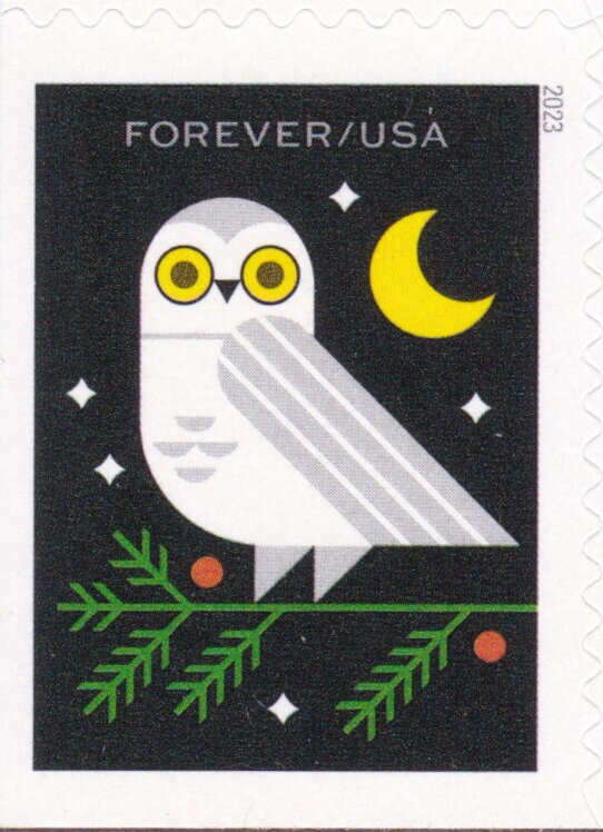 Owl